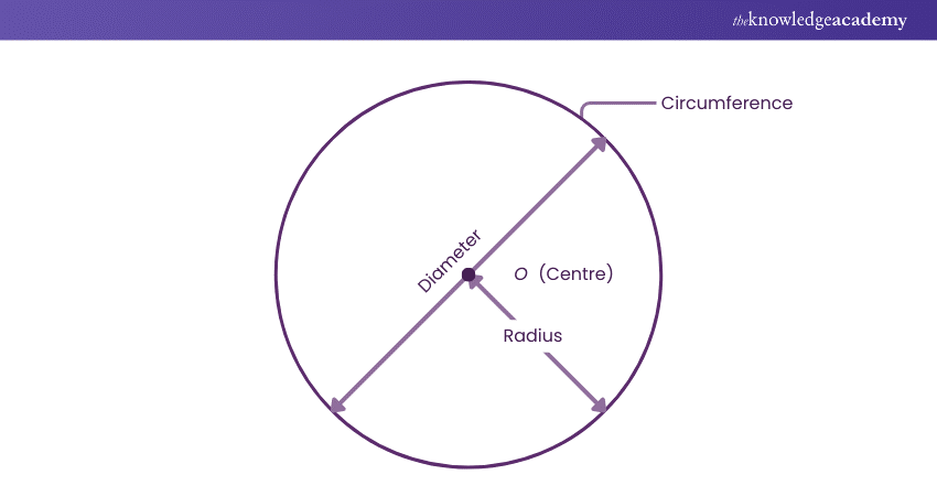 Learn to calculate the Area of a Circle 