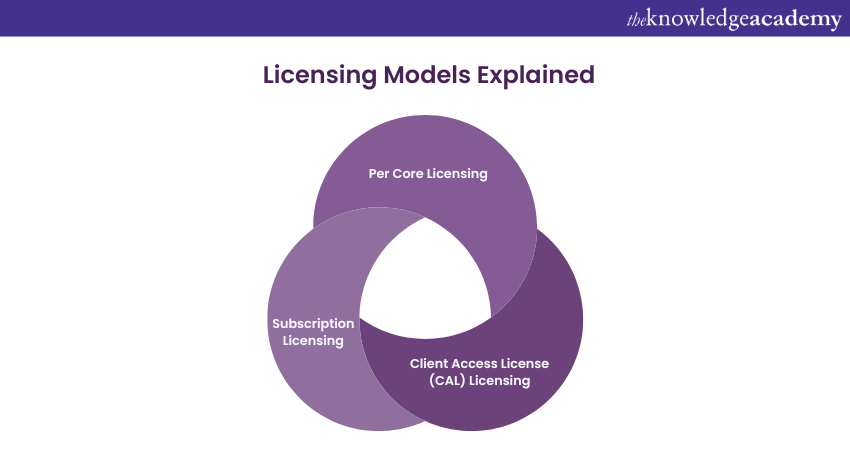 Licensing Models Explained 