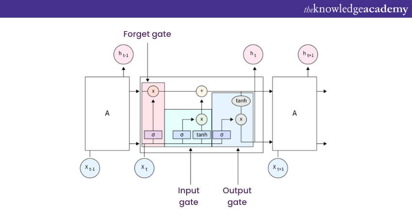 Long Short-Term Memory Networks (LSTMs)