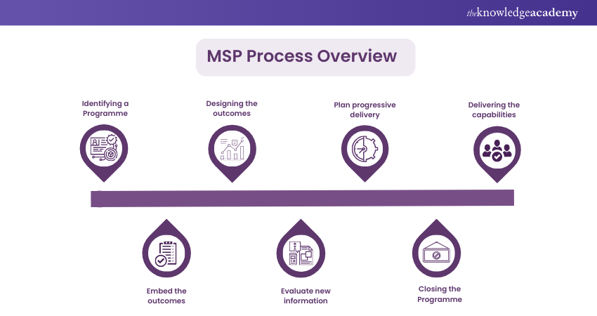 MSP Process Overview