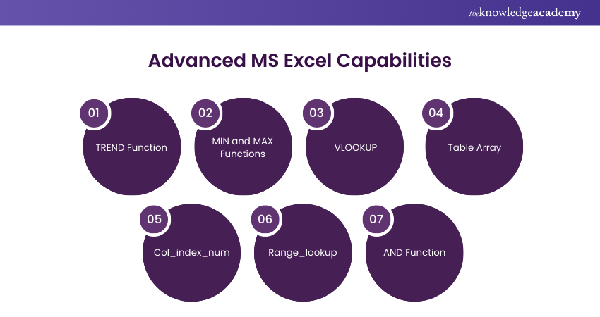 MS Excel Advanced Capabilities