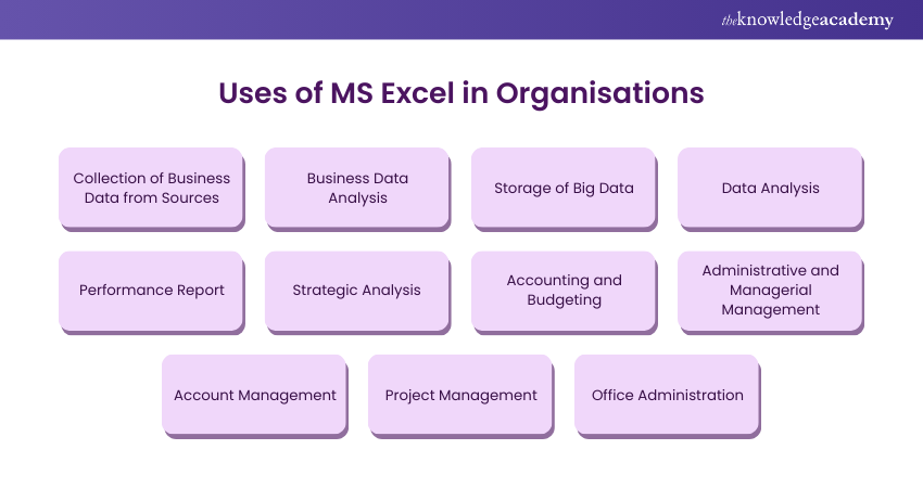 MS Excel in Organisations