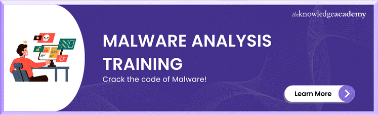 Malware Analysis Training