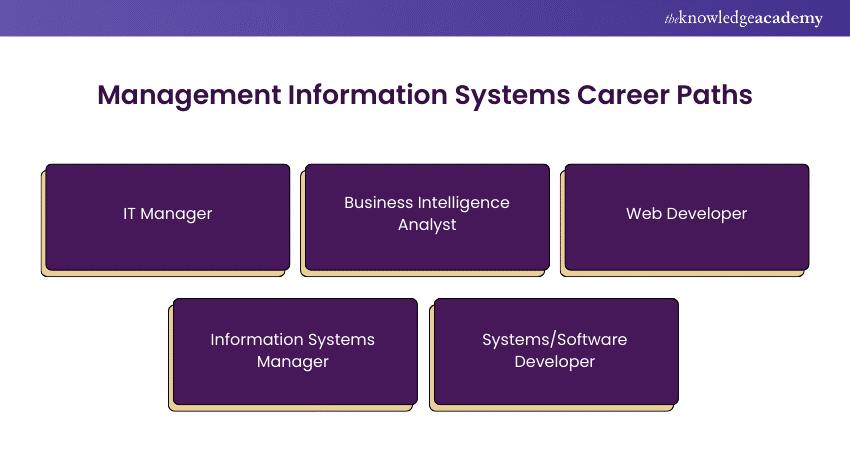 Management Information System Career path