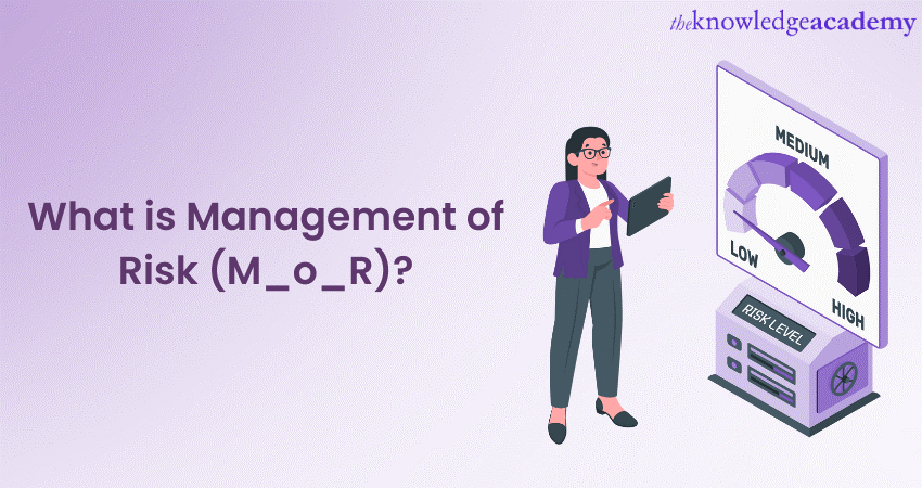 Management of Risk or M_o_R 