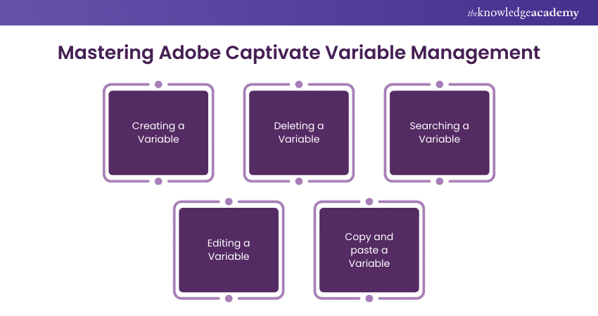 Mastering Adobe Captivate Variable Management