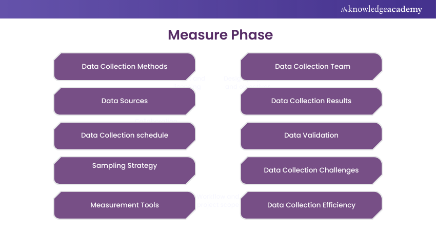 Measure Phase