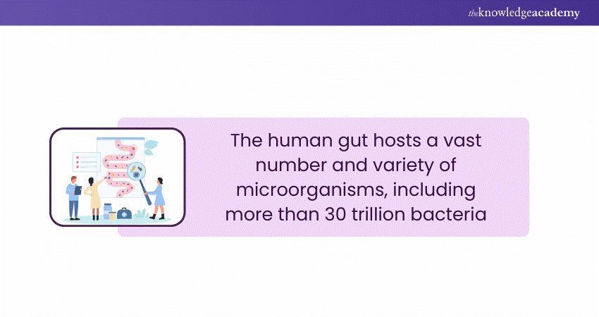 Microorganisms in the Human Gut