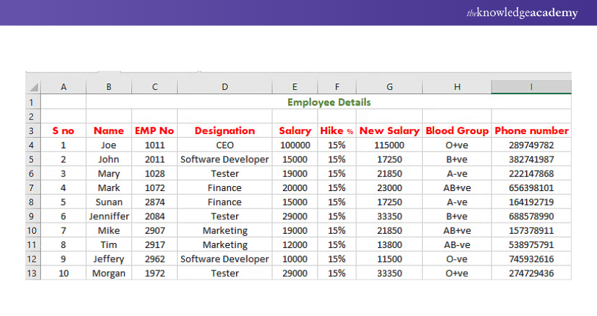 Microsoft Excel Creating Employee Database 