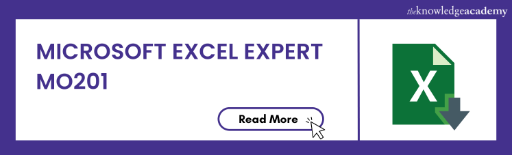 Microsoft Excel Expert MO201 