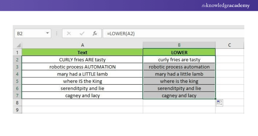 Microsoft Excel Formula LOWER