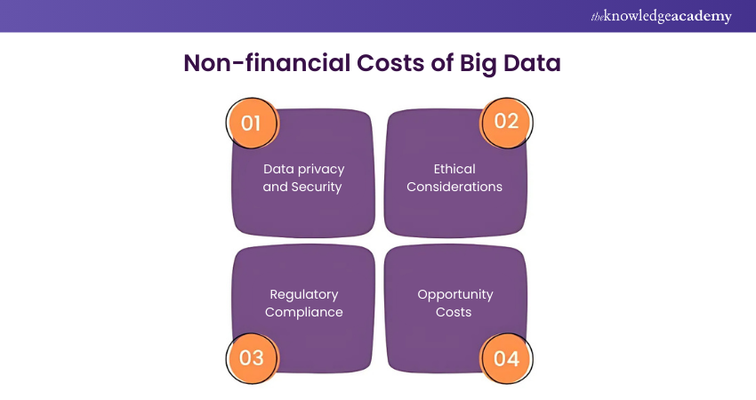 Non-Financial Costs of Big Data