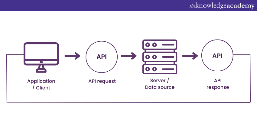 What Is API Automation Testing? Learn Everything