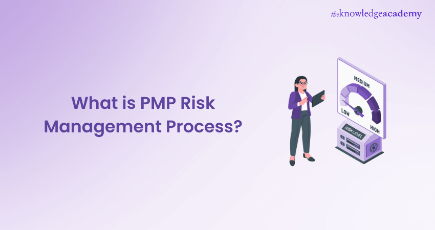 PMP Risk Management