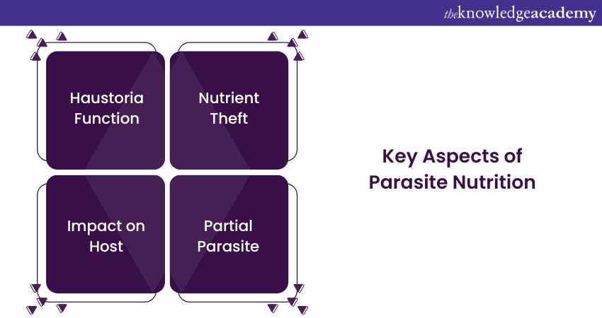 Key Aspects of Parasite nutrition