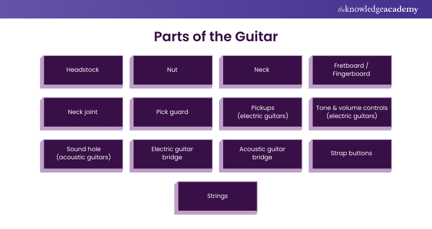 Parts of the Guitar