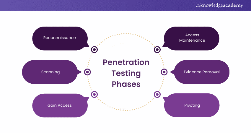 Penetration Testing Phases