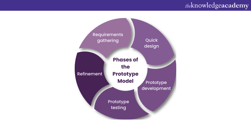 Phases of the Prototype Model 