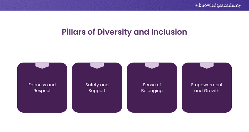 Pillars of Diversity and Inclusion 