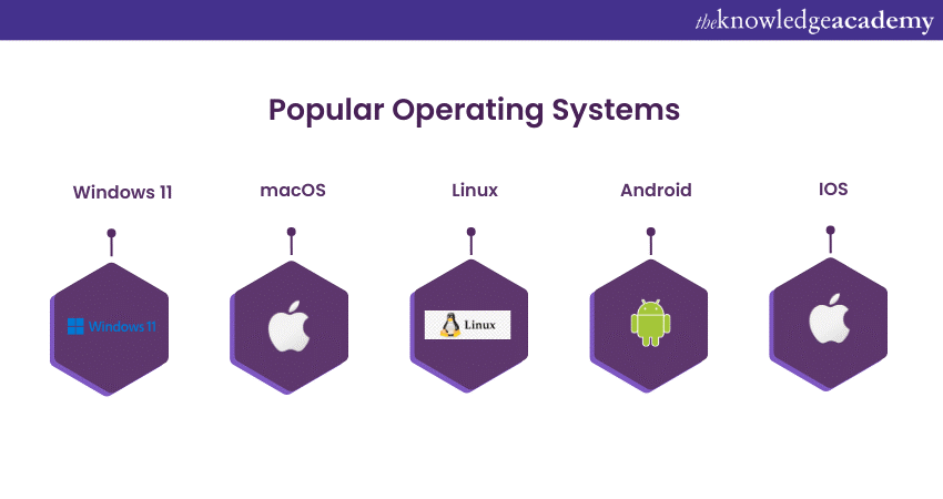 Popular Operating Systems