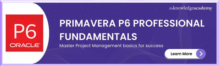 Primavera P6 Professional Fundamentals Training