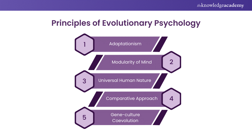 Principles of Evolutionary Psychology