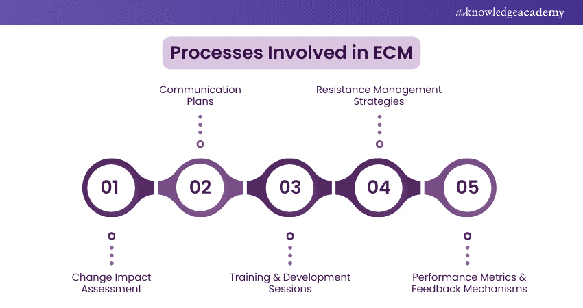 Processes Involved in ECM