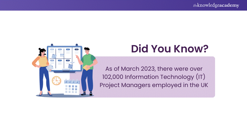 Project Manager Numbers in IT