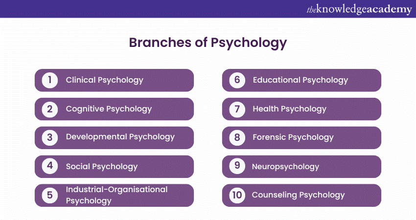 Psychology Branches