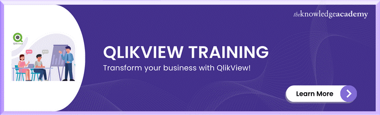 QlikView Training 