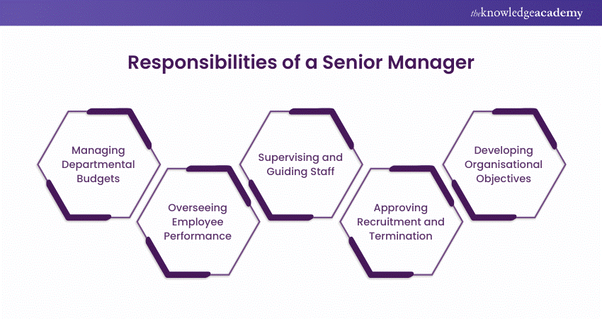 Responsibilities of a Senior Manager 