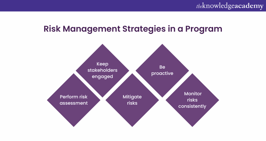 Risk Management Strategies in a program