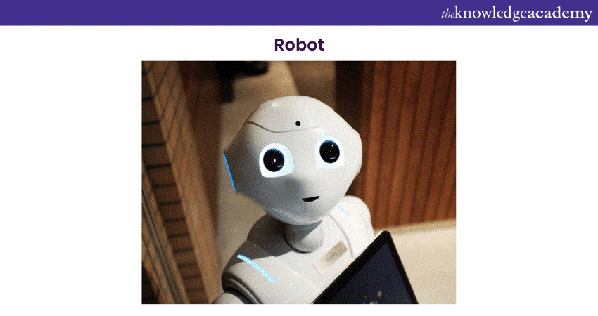 Robot