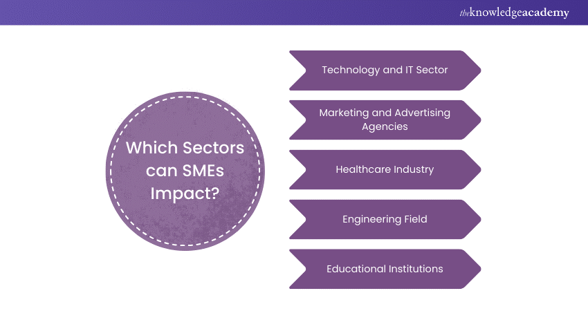 Role of SMEs in Different Fields