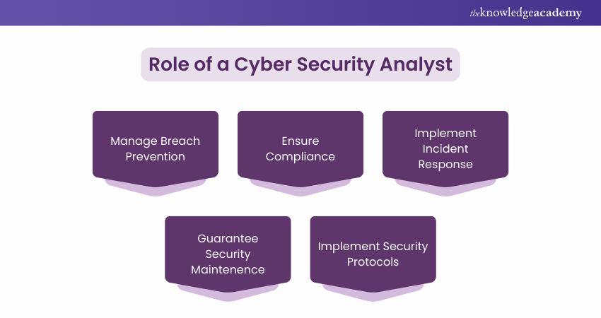 Role of a Cyber Security Analyst