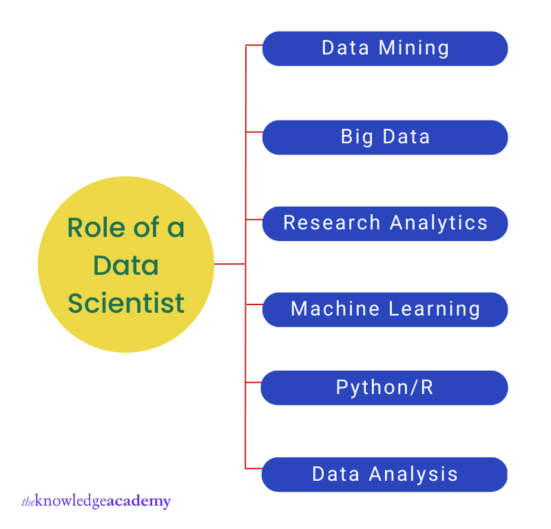 the role of a Data Scientist