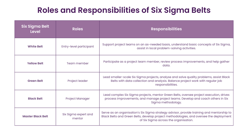 Roles and Responsibilities of Six Sigma Belts