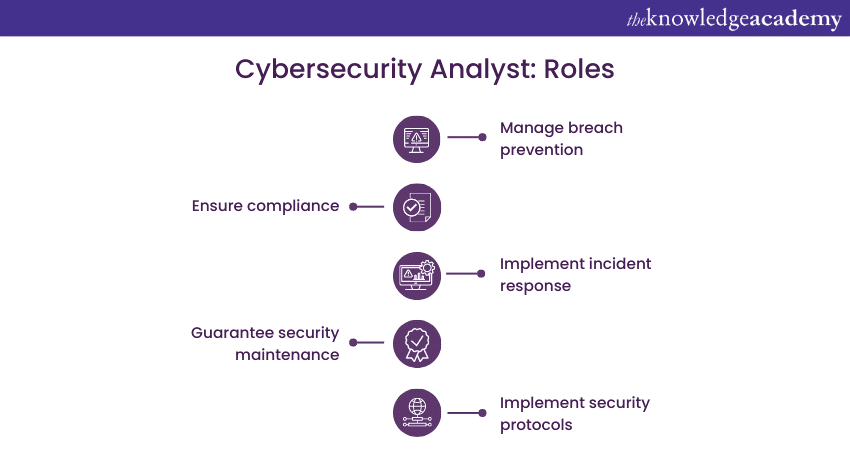 Roles of a Cybersecurity Analyst