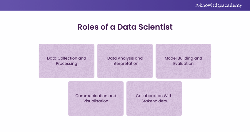 Roles of a Data Scientist