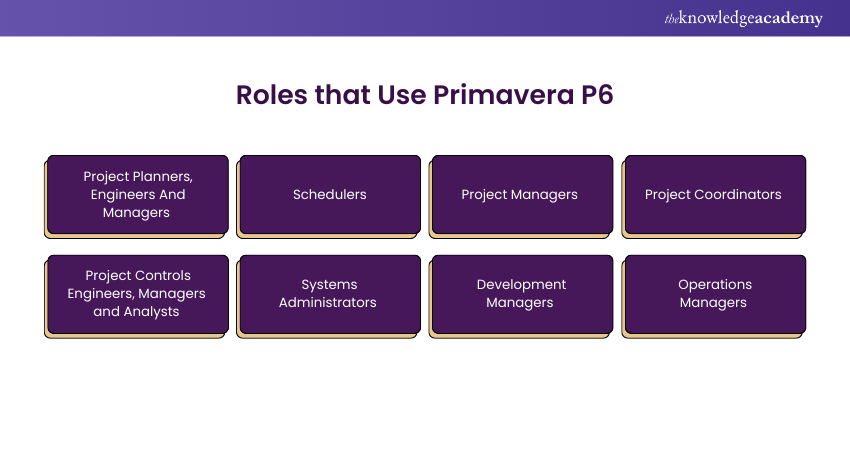 Roles that Use Primavera P6