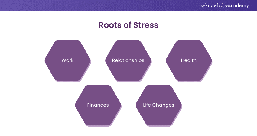 Roots of Stress