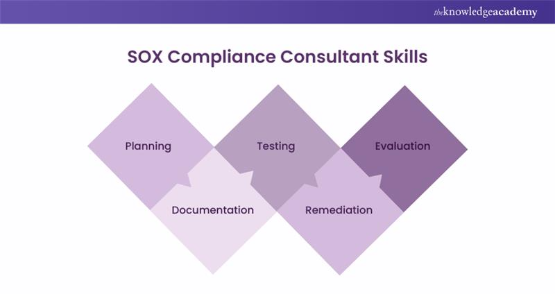 SOX Compliance Consultant Skills