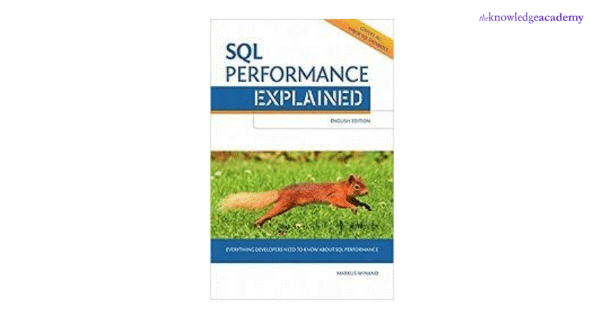 SQL Performance Explained 