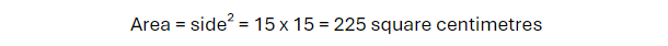 Sample Problems for the Area of a Square