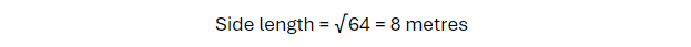 Sample Problems for the Area of a Square