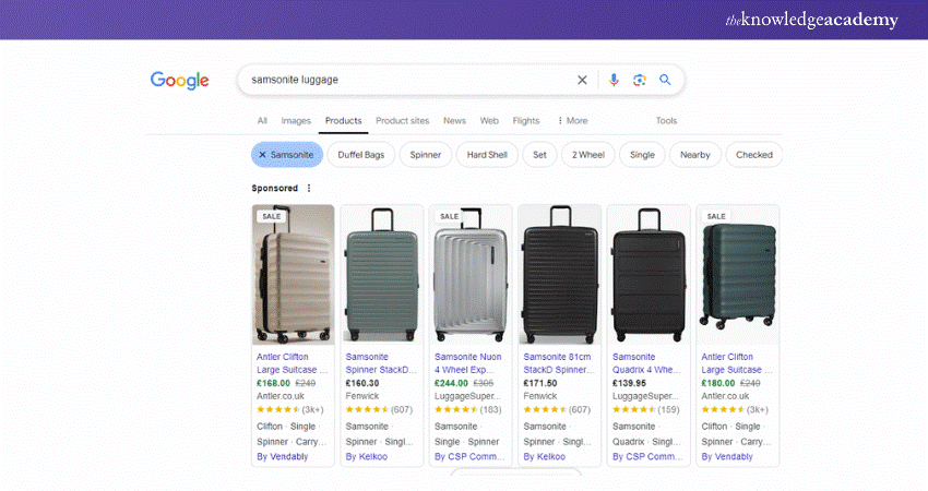 Samsonite - Search Engine Marketing 