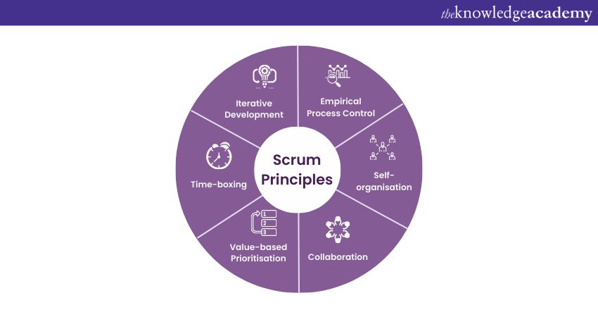 What are the Scrum values, and its Principles?