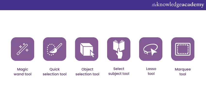 Selection Tools in Adobe Photoshop