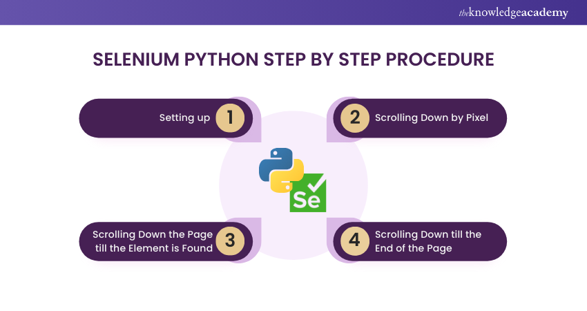 Selenium Python Testing  steps