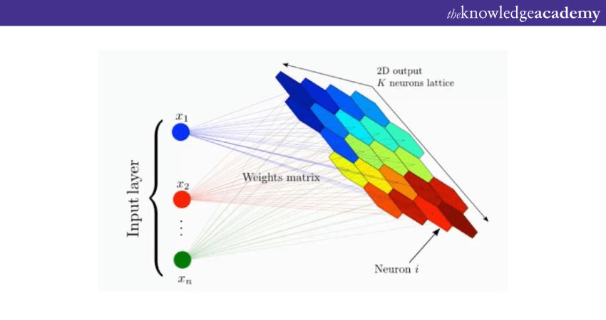 Self-Organising Maps (SOMs)